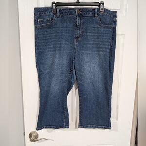 D. Jeans Medium Wash Denim Capri Pant in Size 20W